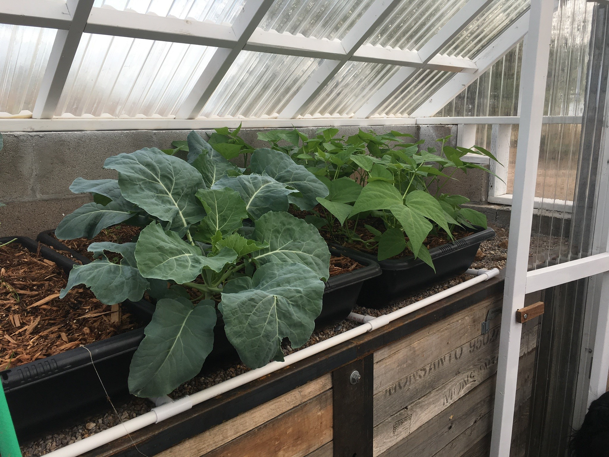Inside of a greenhouse built with ONDUCLAIR products